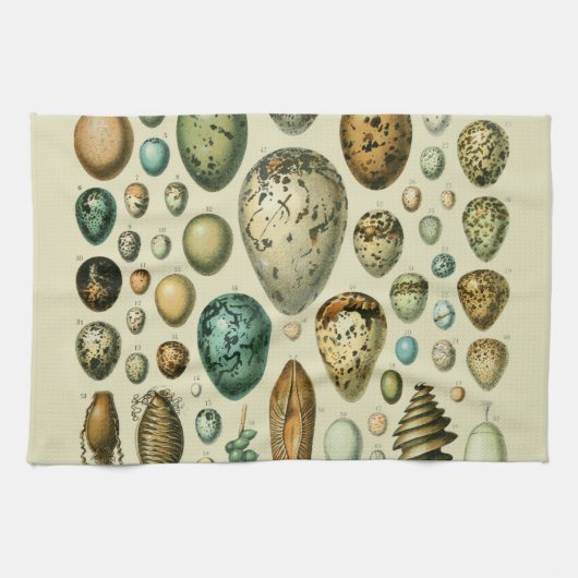 ヴィンテージ卵フランスの魚の卵アート キッチンタオル (横)