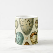 ヴィンテージ卵フランスの魚の卵アート コーヒーマグカップ (中央)
