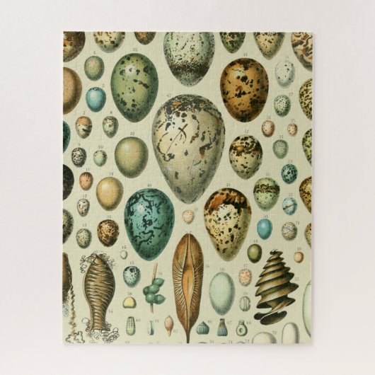 ヴィンテージ卵フランスの魚の卵アート ジグソーパズル (縦)