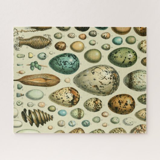 ヴィンテージ卵フランスの魚の卵アート ジグソーパズル (横)