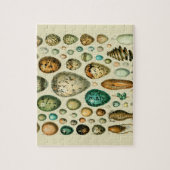 ヴィンテージ卵フランスの魚の卵アート ジグソーパズル (縦)