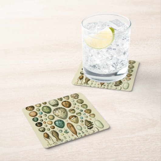 ヴィンテージ卵フランスの魚の卵アート スクエアペーパーコースター (インサイチュ)