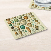 ヴィンテージ卵フランスの魚の卵アート スクエアペーパーコースター (アングル)