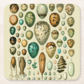 ヴィンテージ卵フランスの魚の卵アート スクエアペーパーコースター (正面)