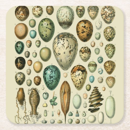 ヴィンテージ卵フランスの魚の卵アート スクエアペーパーコースター (正面)