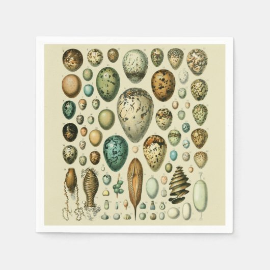 ヴィンテージ卵フランスの魚の卵アート スタンダードカクテルナプキン (正面)