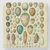ヴィンテージ卵フランスの魚の卵アート ストーンコースター (正面)
