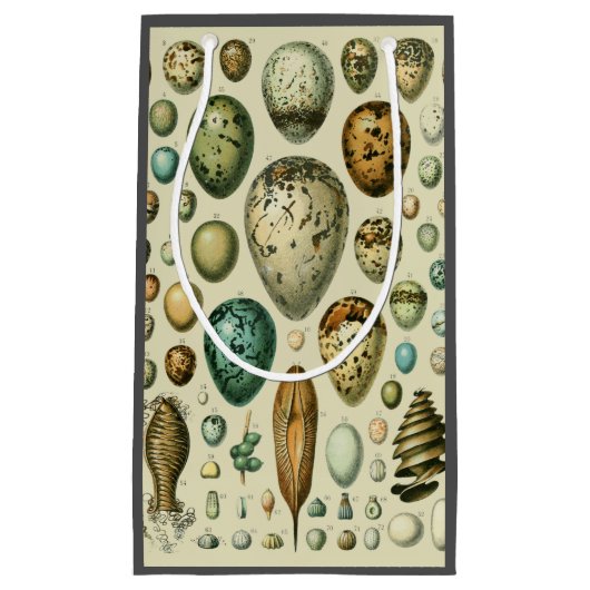 ヴィンテージ卵フランスの魚の卵アート スモールペーパーバッグ (正面)