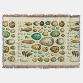 ヴィンテージ卵フランスの魚の卵アート スローブランケット (正面)