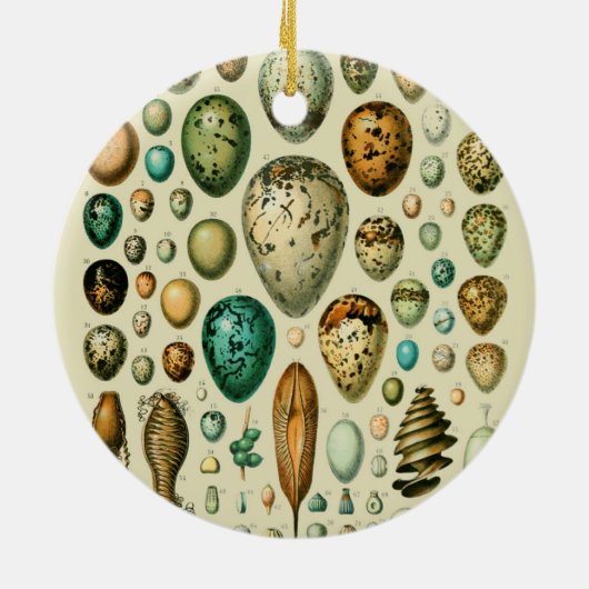 ヴィンテージ卵フランスの魚の卵アート セラミックオーナメント (裏面)