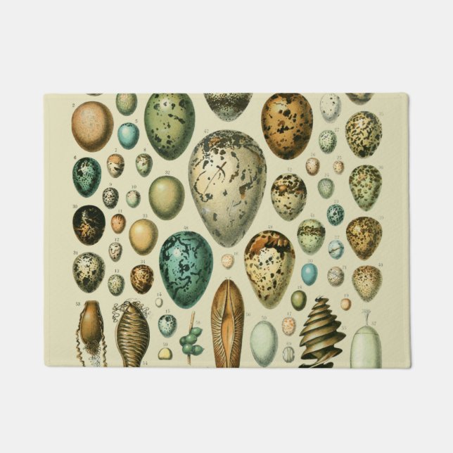 ヴィンテージ卵フランスの魚の卵アート ドアマット (正面)