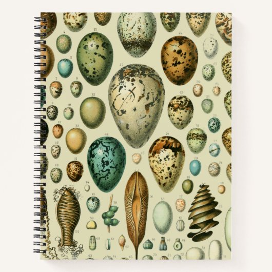 ヴィンテージ卵フランスの魚の卵アート ノートブック (正面)