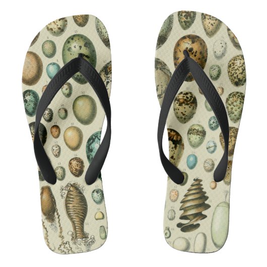 ヴィンテージ卵フランスの魚の卵アート ビーチサンダル (フットベッド)