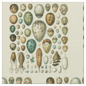 ヴィンテージ卵フランスの魚の卵アート ファブリック (クローズアップ)
