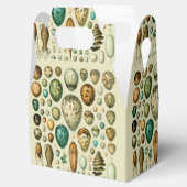 ヴィンテージ卵フランスの魚の卵アート フェイバーボックス (オープン)