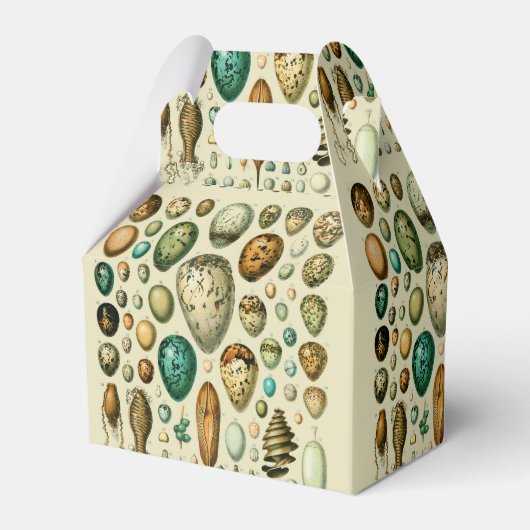 ヴィンテージ卵フランスの魚の卵アート フェイバーボックス (正面サイド)