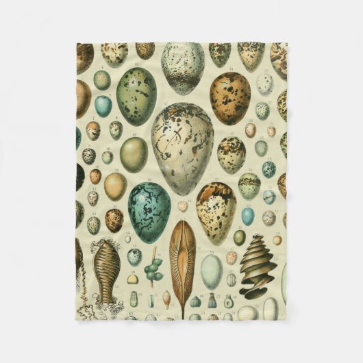 ヴィンテージ卵フランスの魚の卵アート フリースブランケット (正面)
