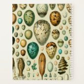 ヴィンテージ卵フランスの魚の卵アート プランナー手帳 (裏面)