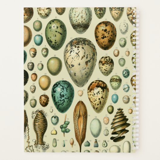 ヴィンテージ卵フランスの魚の卵アート プランナー手帳 (裏面)