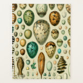 ヴィンテージ卵フランスの魚の卵アート プランナー手帳 (正面)