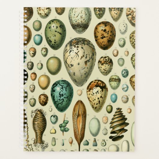 ヴィンテージ卵フランスの魚の卵アート プランナー手帳 (正面)
