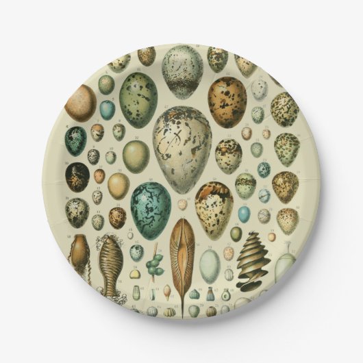 ヴィンテージ卵フランスの魚の卵アート ペーパープレート (正面)