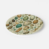 ヴィンテージ卵フランスの魚の卵アート ペーパープレート (アングル)