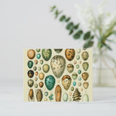 ヴィンテージ卵フランスの魚の卵アート ポストカード (スタンド正面)