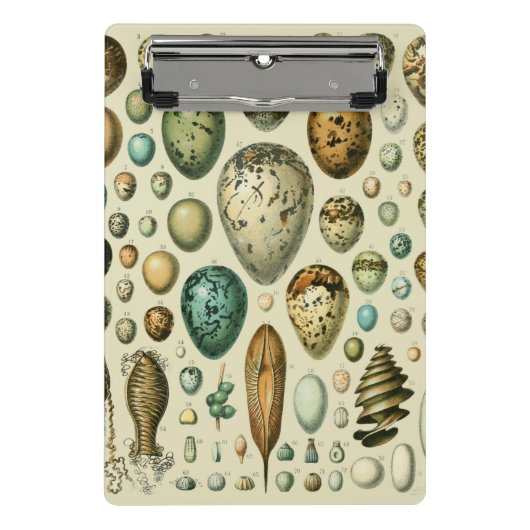 ヴィンテージ卵フランスの魚の卵アート ミニクリップボード (正面)