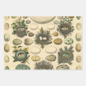 ヴィンテージ卵フランスの魚の卵アート ラッピングペーパーシート (正面3)