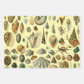 ヴィンテージ卵フランスの魚の卵アート ラッピングペーパーシート (正面2)