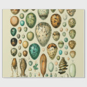 ヴィンテージ卵フランスの魚の卵アート ラッピングペーパー (フラット)