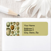 ヴィンテージ卵フランスの魚の卵アート ラベル (インサイチュ)