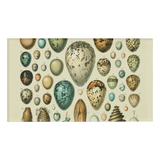 ヴィンテージ卵フランスの魚の卵アート 名札 (正面)