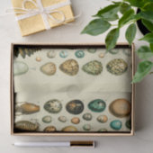 ヴィンテージ卵フランスの魚の卵アート 薄葉紙 (ギフト)