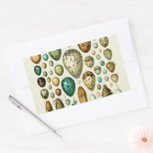 ヴィンテージ卵フランスの魚の卵アート 長方形シール (封筒)