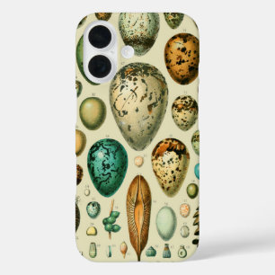 ヴィンテージ卵フランスの魚の卵アート iPhone 16ケース
