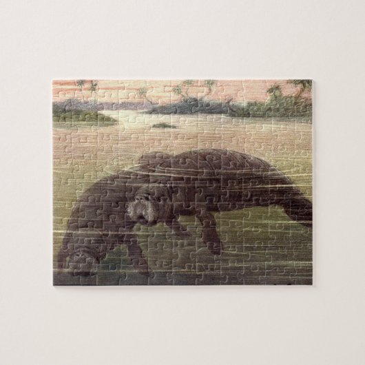 ヴィンテージ又は海牛、海洋哺乳類 ジグソーパズル (横)