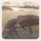 ヴィンテージ又は海牛、海洋哺乳類 スクエアシール (正面)