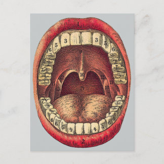 ヴィンテージ口 ポストカード