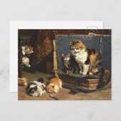 ヴィンテージ可愛いオレンジブラック&ホワイト子猫 ポストカード (正面/裏面)