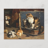 ヴィンテージ可愛いオレンジブラック&ホワイト子猫 ポストカード (正面)