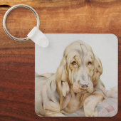 ヴィンテージ可愛いブラッドハウンド、EJ Detmoldによる子犬 キーホルダー (正面)