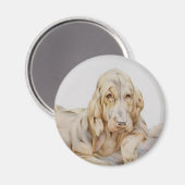 ヴィンテージ可愛いブラッドハウンド、EJ Detmoldによる子犬 マグネット (正面/裏面)