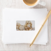 ヴィンテージ可愛いブラッドハウンド、EJ Detmoldによる子犬 ラベル (インサイチュ)