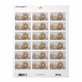 ヴィンテージ可愛いブラッドハウンド、EJ Detmoldによる子犬 ラベル (フルシート)