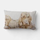 ヴィンテージ可愛いブラッドハウンド、EJ Detmoldによる子犬 ランバークッション (裏面)