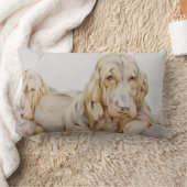 ヴィンテージ可愛いブラッドハウンド、EJ Detmoldによる子犬 ランバークッション (ブランケット)