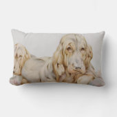 ヴィンテージ可愛いブラッドハウンド、EJ Detmoldによる子犬 ランバークッション (正面)