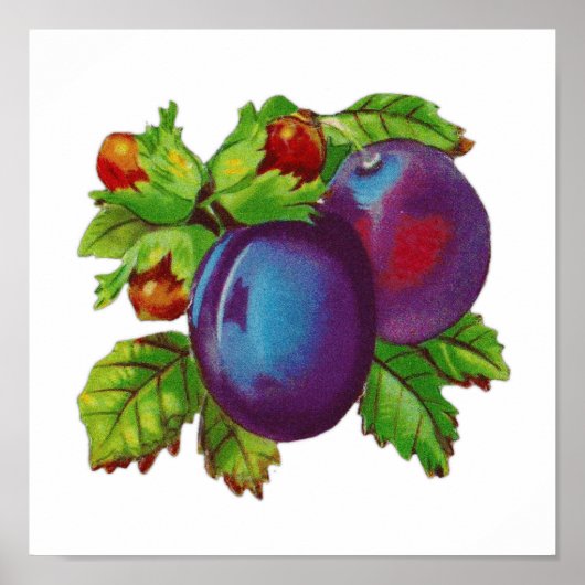 ヴィンテージ台所用梅果実デザイン ポスター (正面)